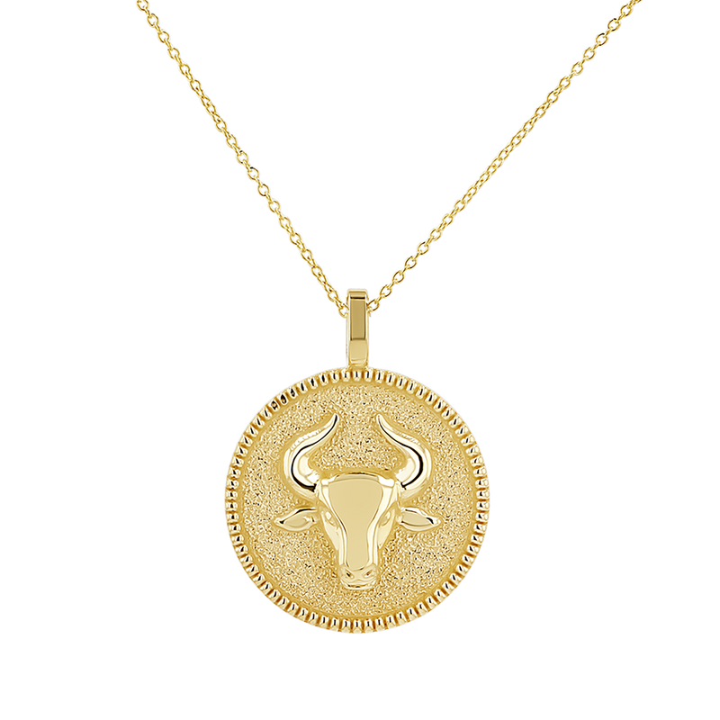 Zodiac Coin Medallion Necklace