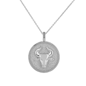 Zodiac Coin Medallion Necklace