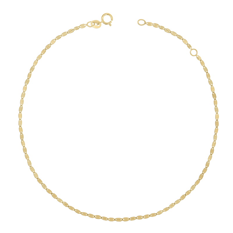 Demure Chain Anklet